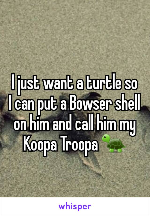 I just want a turtle so I can put a Bowser shell on him and call him my Koopa Troopa 🐢