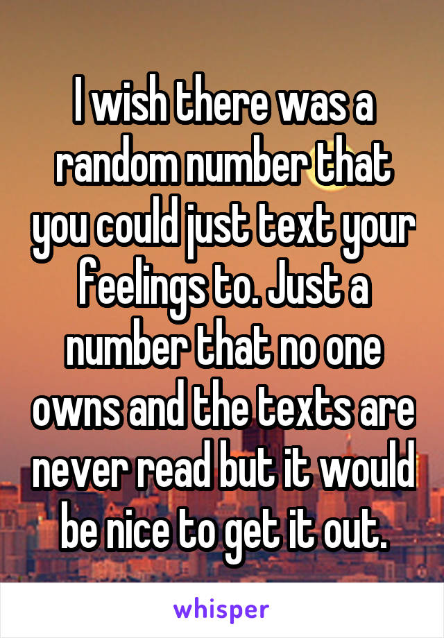 I wish there was a random number that you could just text your feelings to. Just a number that no one owns and the texts are never read but it would be nice to get it out.