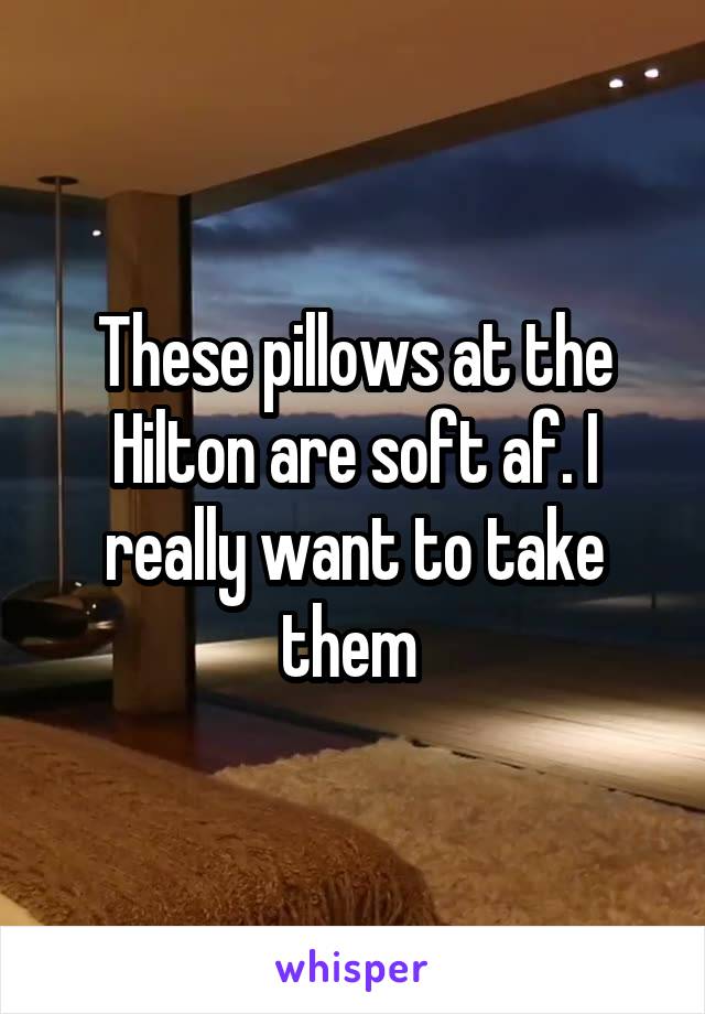 These pillows at the Hilton are soft af. I really want to take them 