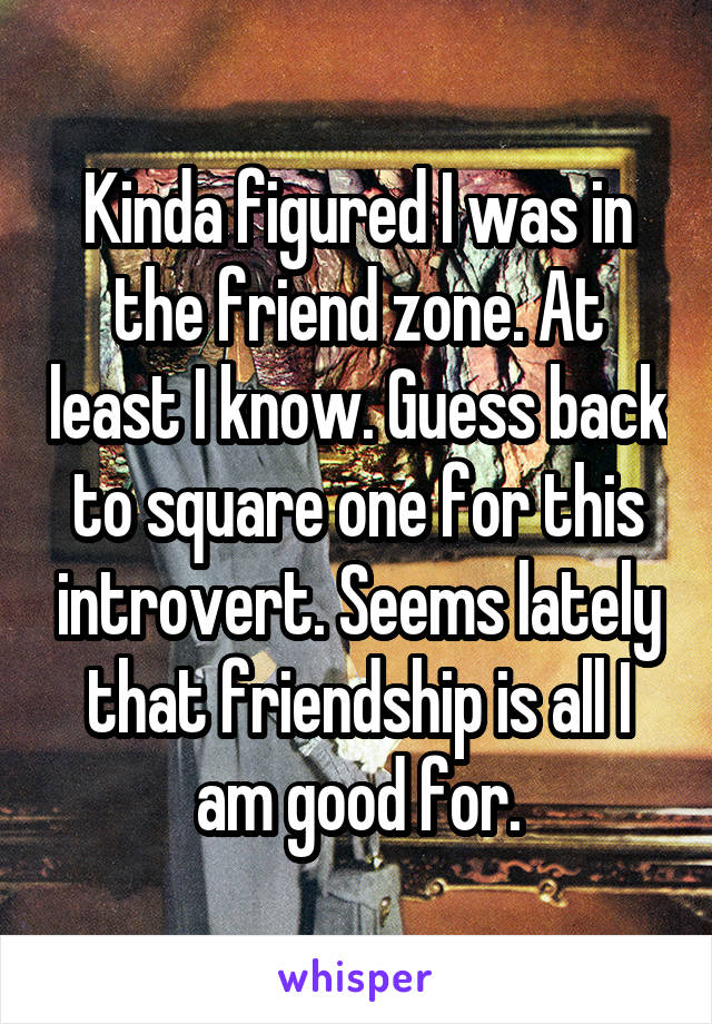 Kinda figured I was in the friend zone. At least I know. Guess back to square one for this introvert. Seems lately that friendship is all I am good for.