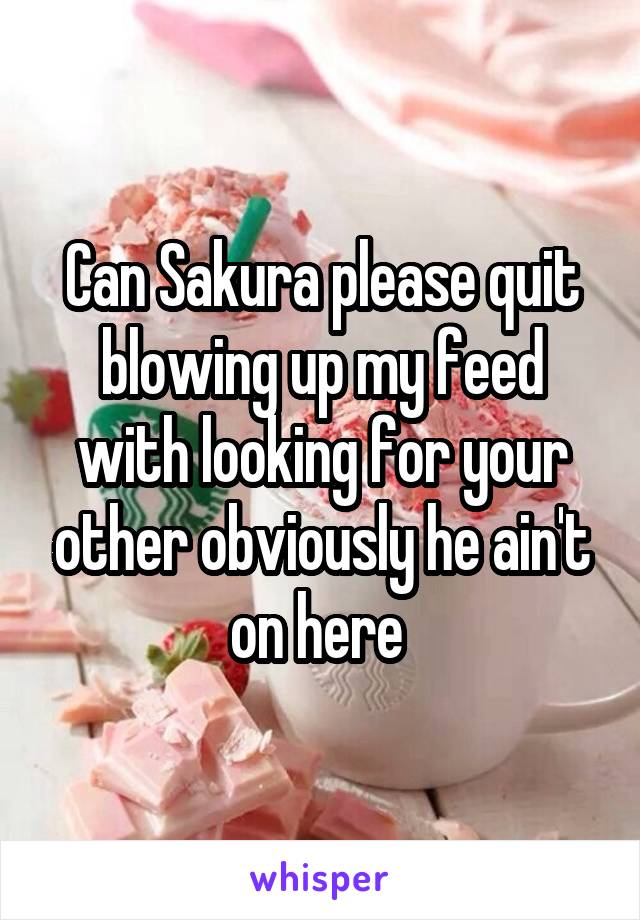 Can Sakura please quit blowing up my feed with looking for your other obviously he ain't on here 