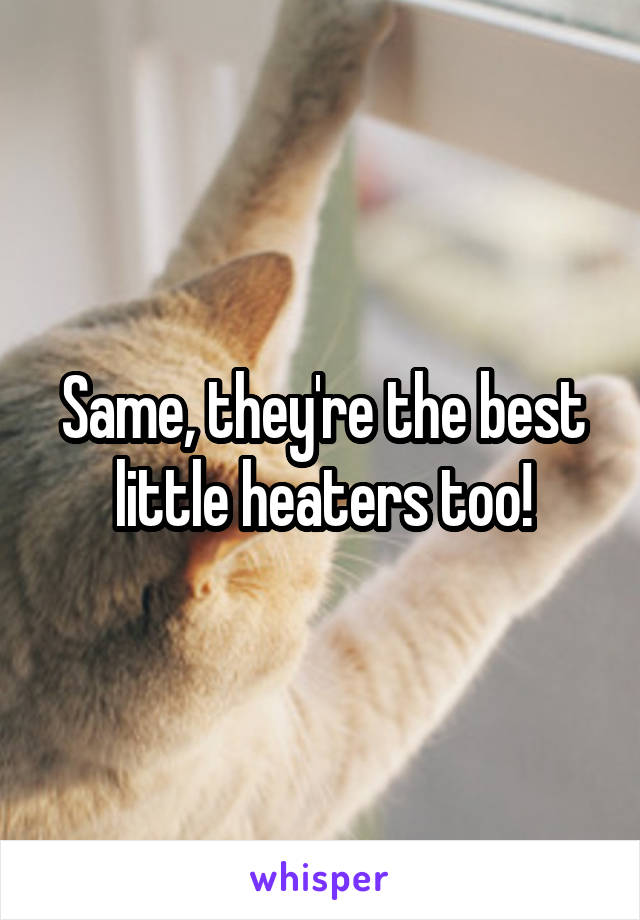 Same, they're the best little heaters too!