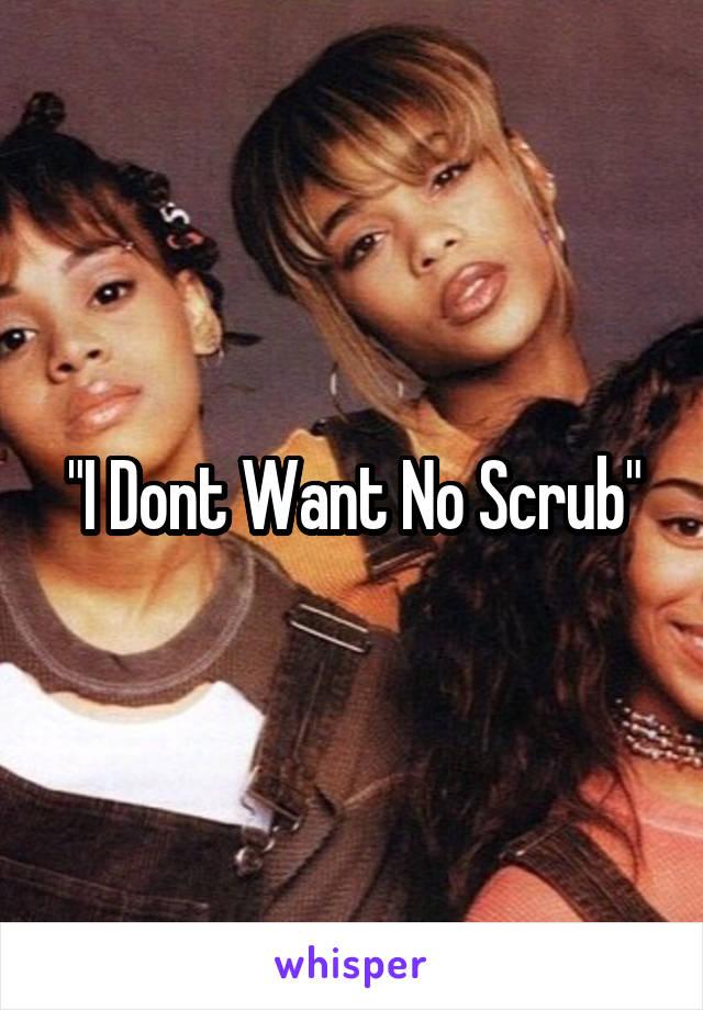 "I Dont Want No Scrub"