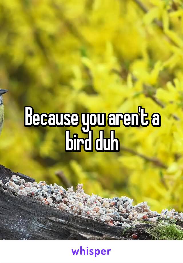 Because you aren't a bird duh