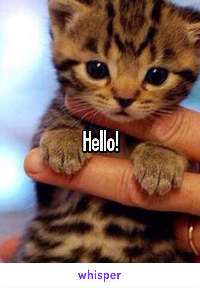 Hello!