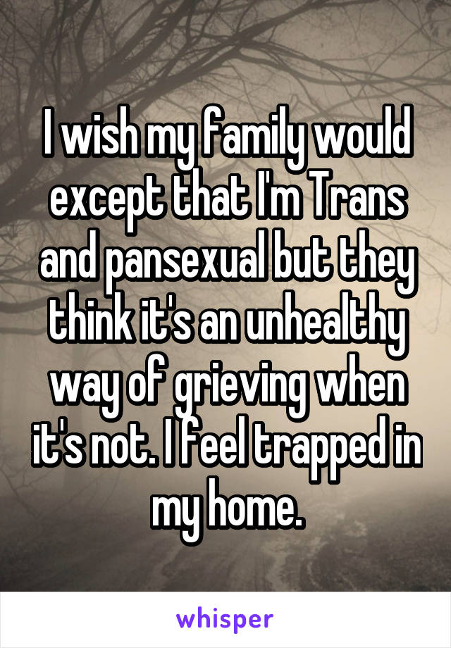 I wish my family would except that I'm Trans and pansexual but they think it's an unhealthy way of grieving when it's not. I feel trapped in my home.