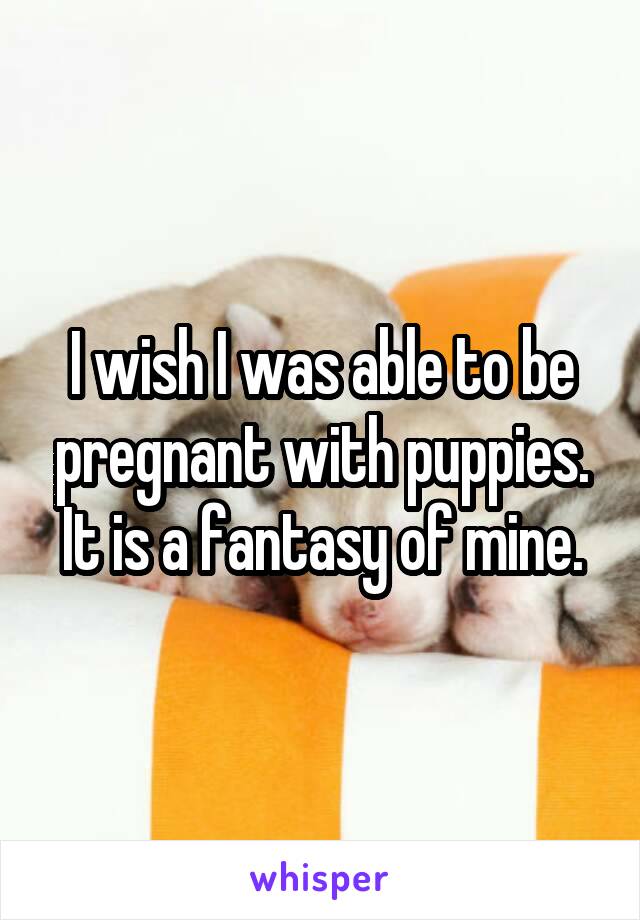 I wish I was able to be pregnant with puppies. It is a fantasy of mine.