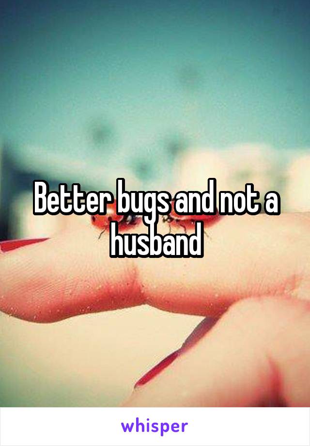 Better bugs and not a husband