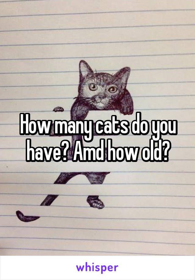 How many cats do you have? Amd how old?