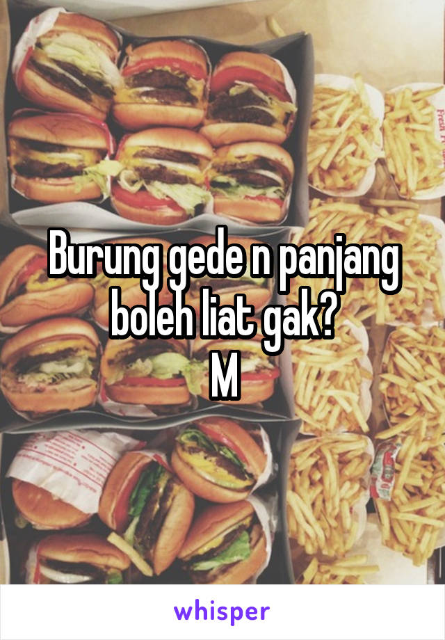 Burung gede n panjang boleh liat gak?
M