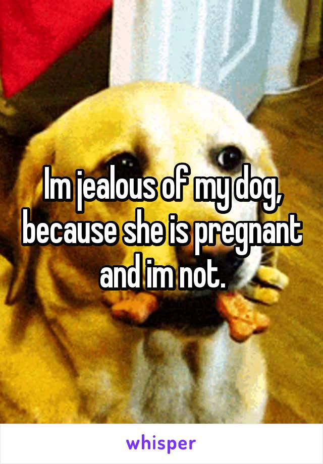 Im jealous of my dog, because she is pregnant and im not.