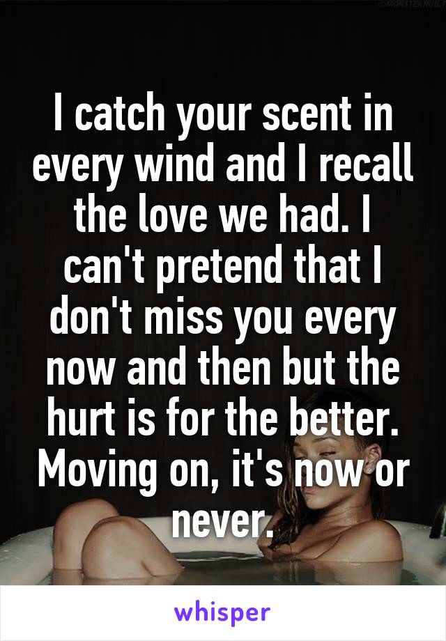 I catch your scent in every wind and I recall the love we had. I can't pretend that I don't miss you every now and then but the hurt is for the better. Moving on, it's now or never.