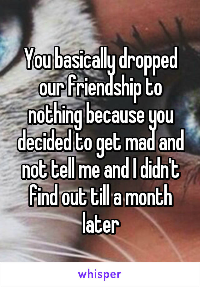 You basically dropped our friendship to nothing because you decided to get mad and not tell me and I didn't find out till a month later