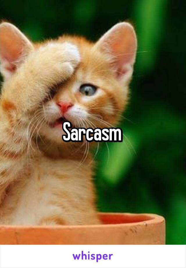 Sarcasm 