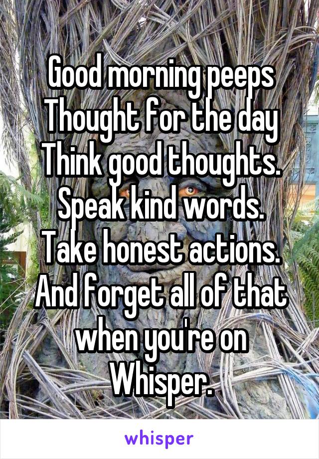 Good morning peeps
Thought for the day
Think good thoughts.
Speak kind words.
Take honest actions.
And forget all of that when you're on Whisper.