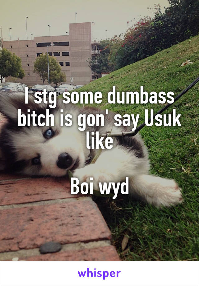 I stg some dumbass bitch is gon' say Usuk like

Boi wyd