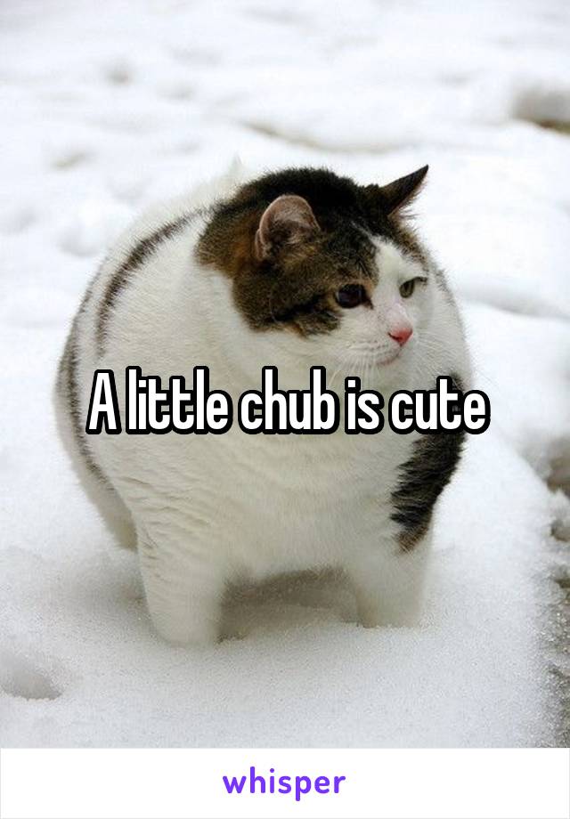 A little chub is cute