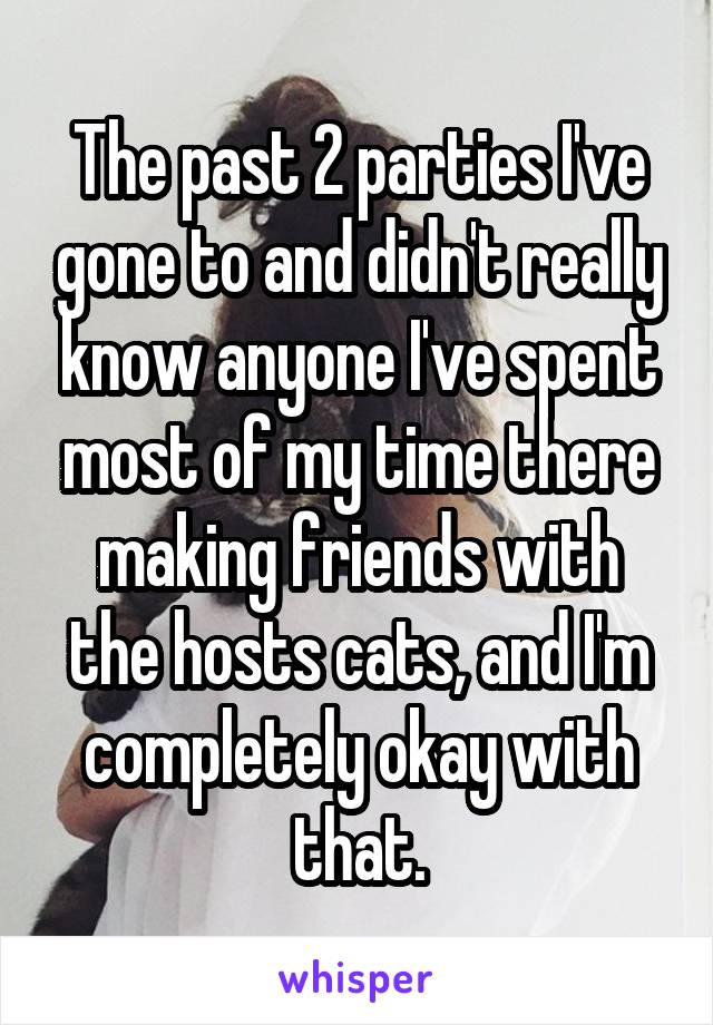 The past 2 parties I've gone to and didn't really know anyone I've spent most of my time there making friends with the hosts cats, and I'm completely okay with that.