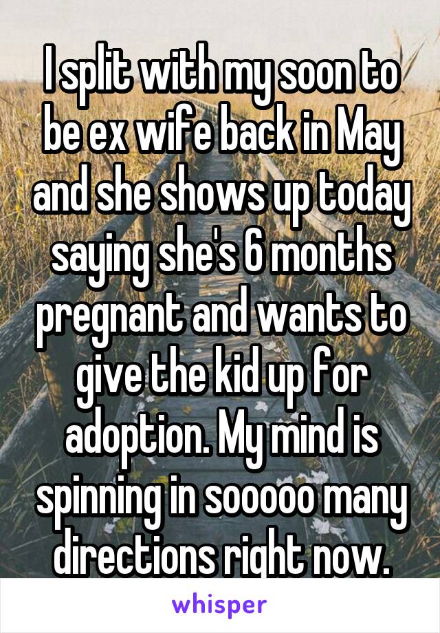 I split with my soon to be ex wife back in May and she shows up today saying she's 6 months pregnant and wants to give the kid up for adoption. My mind is spinning in sooooo many directions right now.