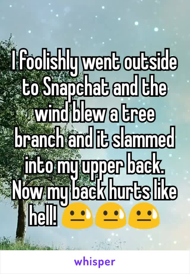 I foolishly went outside to Snapchat and the wind blew a tree branch and it slammed into my upper back. Now my back hurts like hell! 😓😓😓