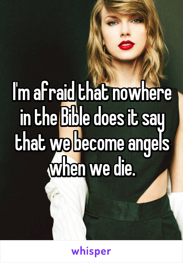 I'm afraid that nowhere in the Bible does it say that we become angels when we die.