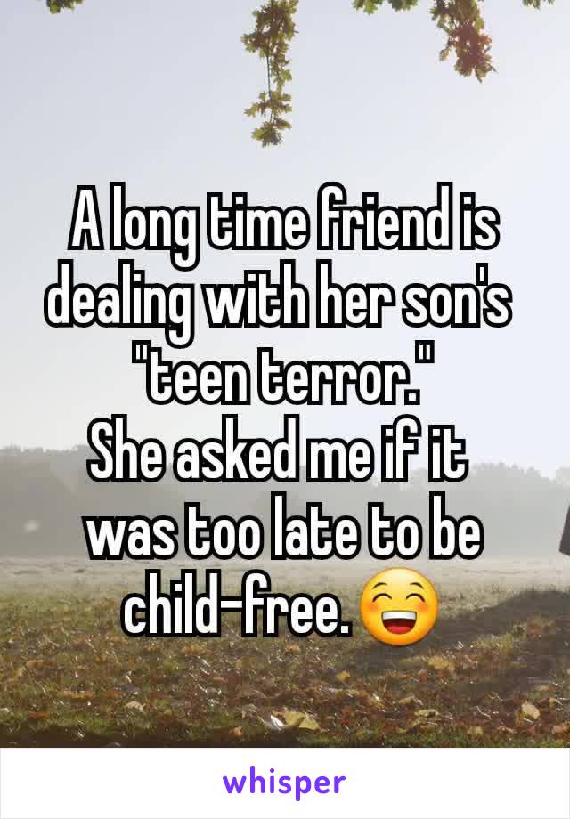 A long time friend is dealing with her son's 
"teen terror."
She asked me if it 
was too late to be
child-free.😁