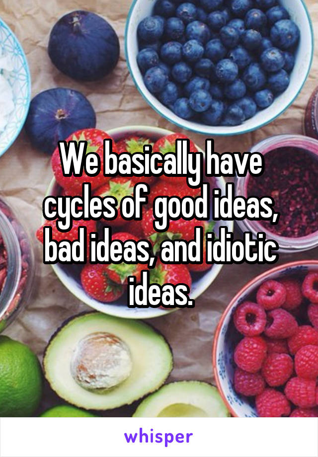 We basically have cycles of good ideas, bad ideas, and idiotic ideas.