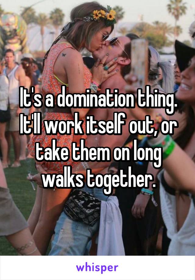 It's a domination thing. It'll work itself out, or take them on long walks together.