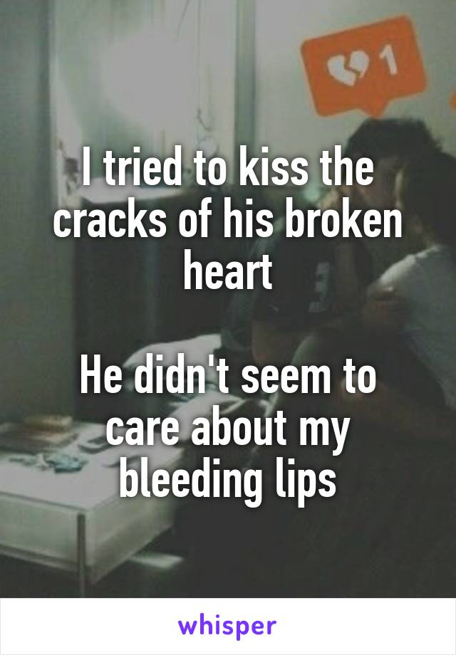 I tried to kiss the cracks of his broken heart

He didn't seem to care about my bleeding lips