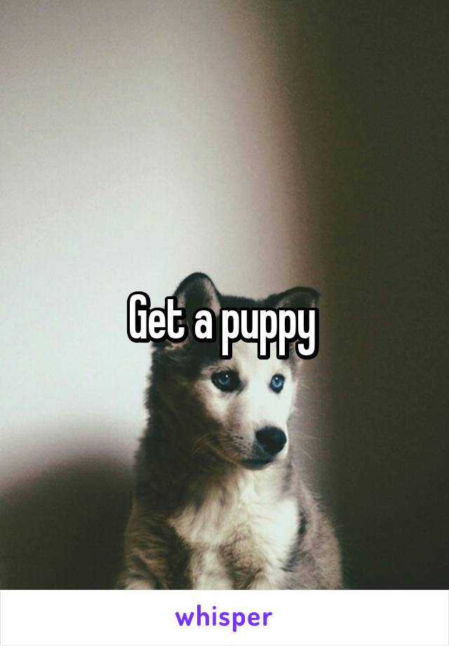 Get a puppy 