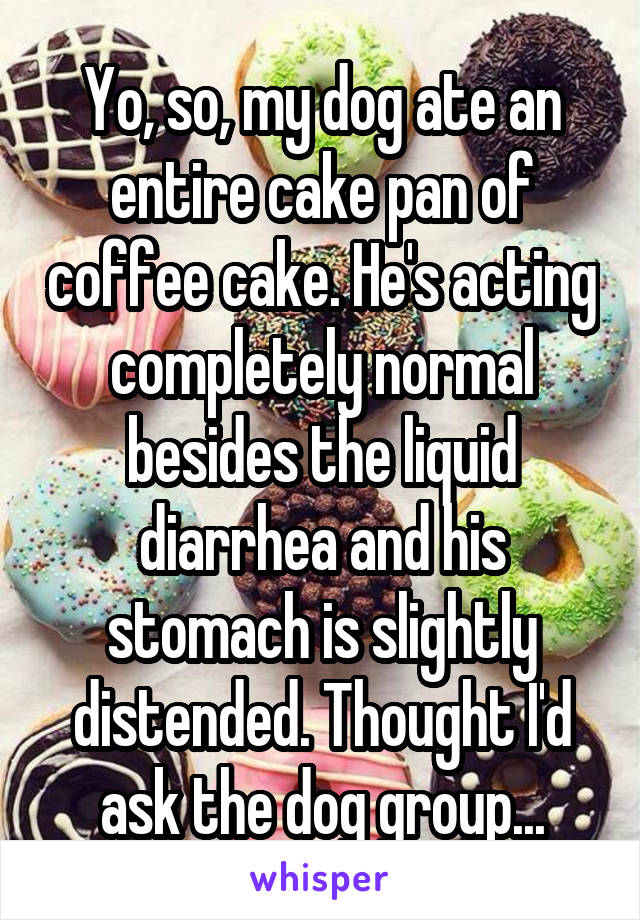 Yo, so, my dog ate an entire cake pan of coffee cake. He's acting completely normal besides the liquid diarrhea and his stomach is slightly distended. Thought I'd ask the dog group...