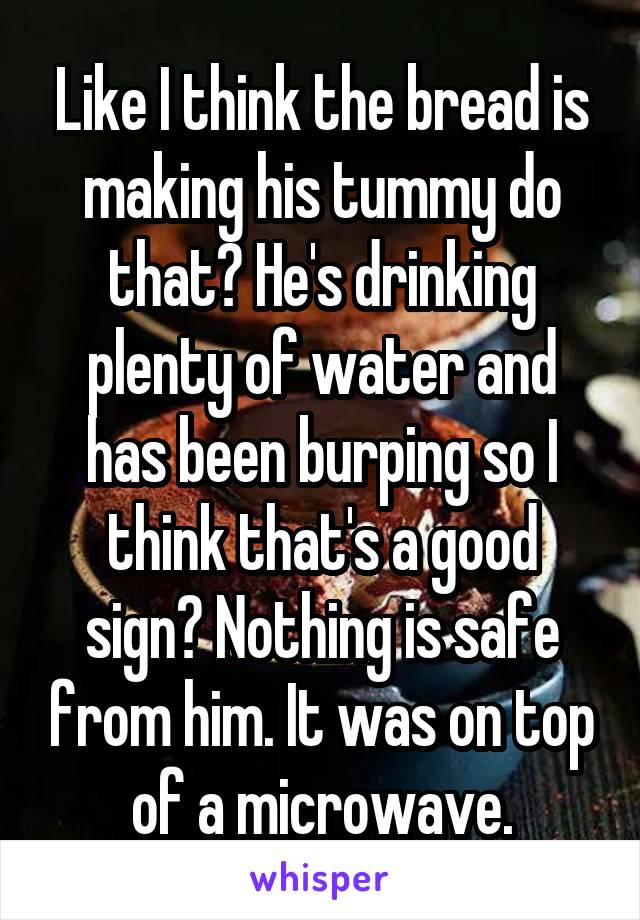 Like I think the bread is making his tummy do that? He's drinking plenty of water and has been burping so I think that's a good sign? Nothing is safe from him. It was on top of a microwave.