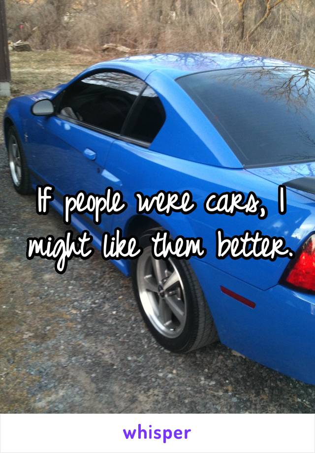 If people were cars, I might like them better.