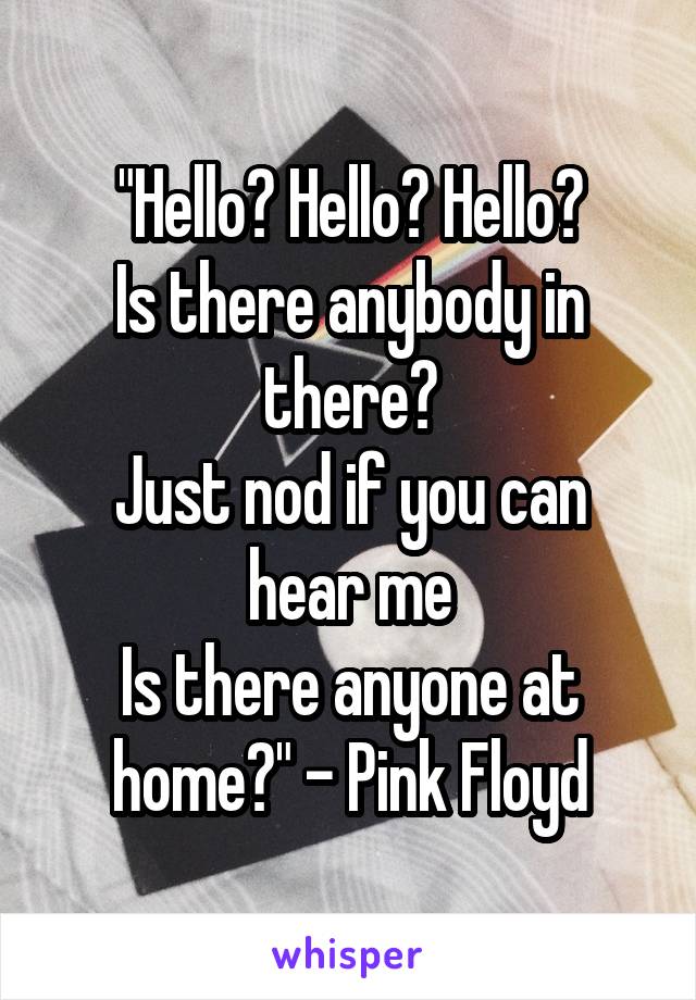 "Hello? Hello? Hello?
Is there anybody in there?
Just nod if you can hear me
Is there anyone at home?" - Pink Floyd