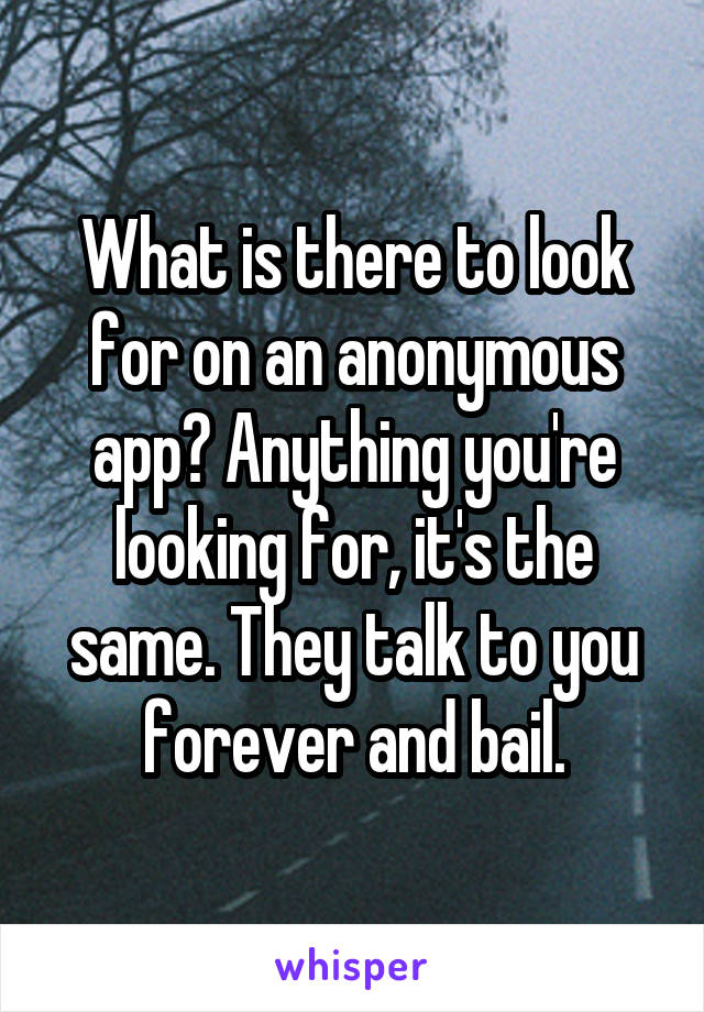 What is there to look for on an anonymous app? Anything you're looking for, it's the same. They talk to you forever and bail.