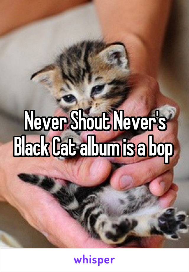 Never Shout Never's Black Cat album is a bop 