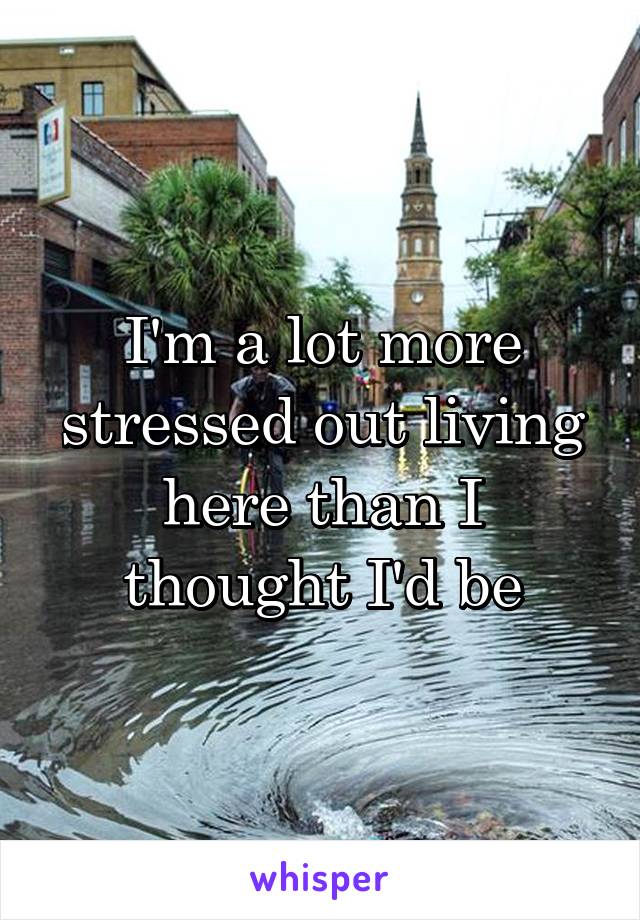 I'm a lot more stressed out living here than I thought I'd be