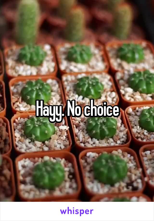 Hayy. No choice