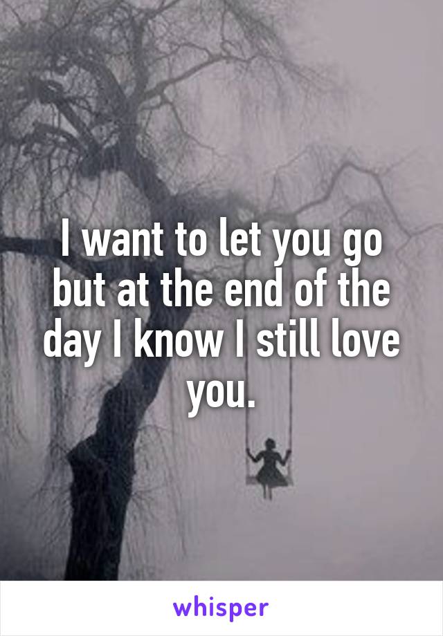 I want to let you go but at the end of the day I know I still love you.