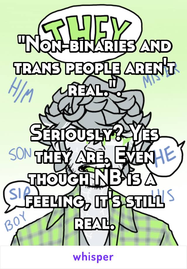 "Non-binaries and trans people aren't real.".

Seriously? Yes they are. Even though NB is a  feeling, it's still real.