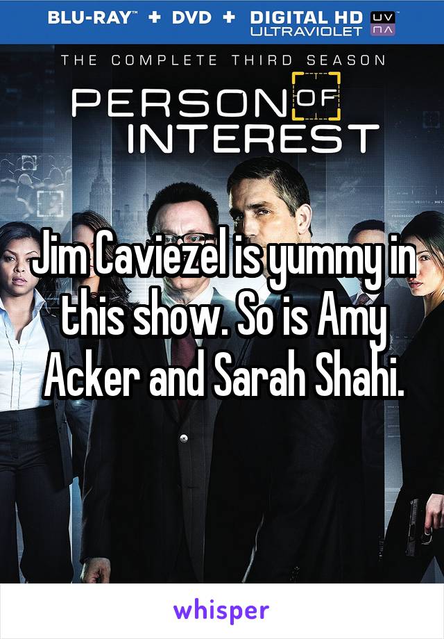 Jim Caviezel is yummy in this show. So is Amy Acker and Sarah Shahi.