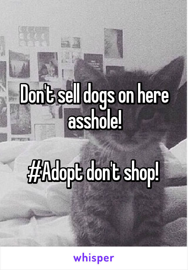 Don't sell dogs on here asshole!

#Adopt don't shop! 