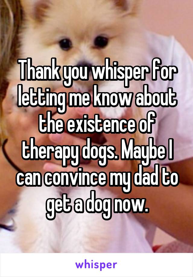 Thank you whisper for letting me know about the existence of therapy dogs. Maybe I can convince my dad to get a dog now.