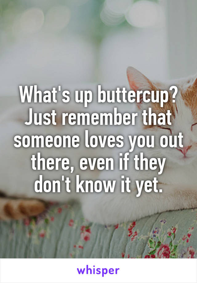 What's up buttercup? Just remember that someone loves you out there, even if they don't know it yet.