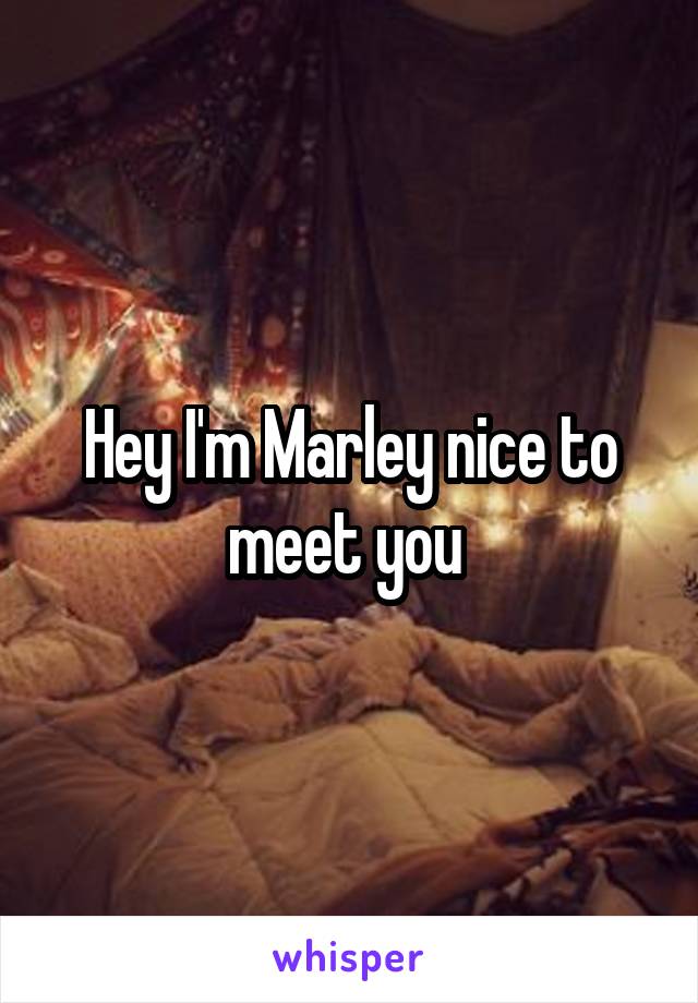 Hey I'm Marley nice to meet you 