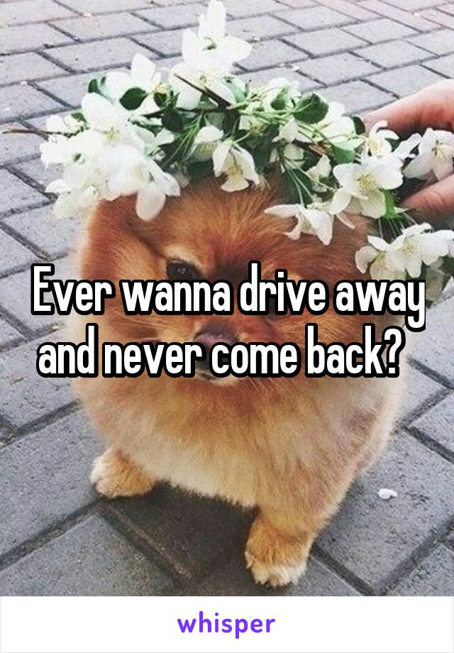 Ever wanna drive away and never come back?  