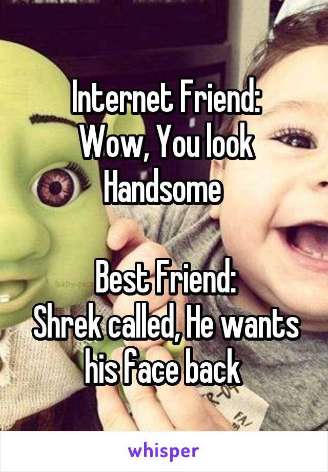 Internet Friend:
Wow, You look Handsome 

Best Friend:
Shrek called, He wants his face back 