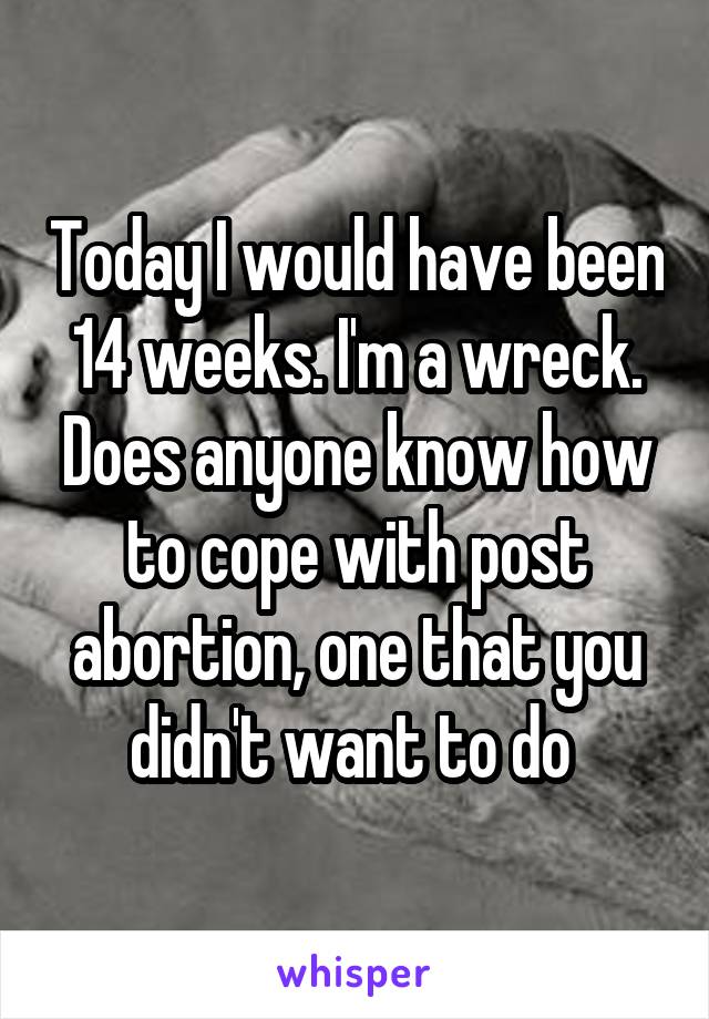 Today I would have been 14 weeks. I'm a wreck. Does anyone know how to cope with post abortion, one that you didn't want to do 