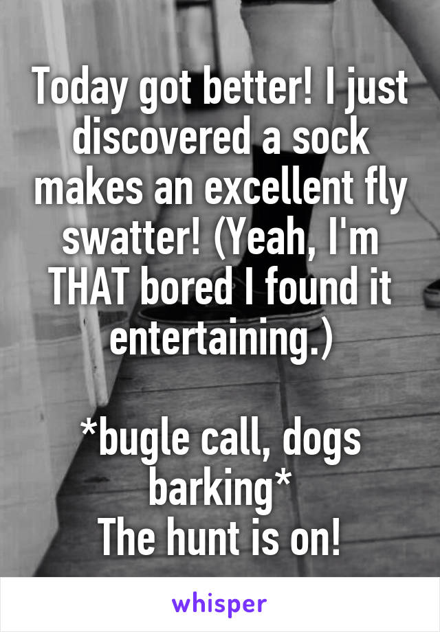 Today got better! I just discovered a sock makes an excellent fly swatter! (Yeah, I'm THAT bored I found it entertaining.)

*bugle call, dogs barking*
The hunt is on!