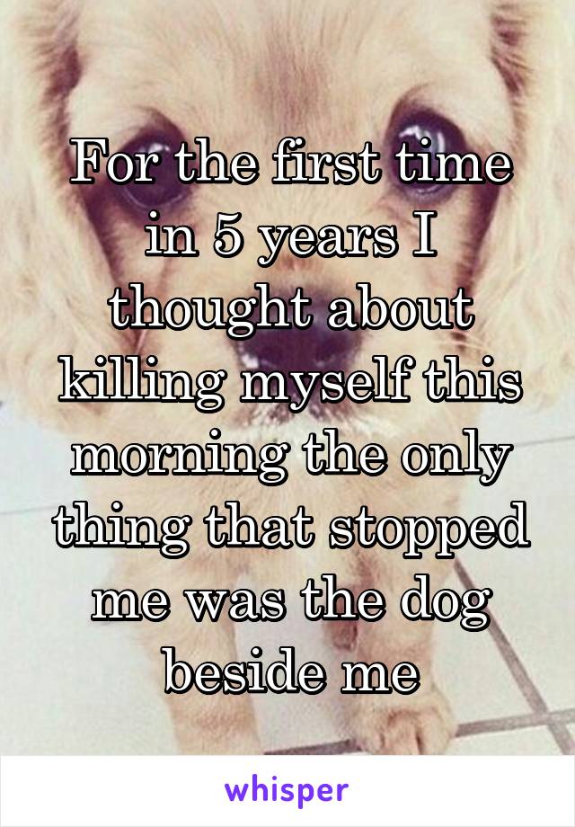 For the first time in 5 years I thought about killing myself this morning the only thing that stopped me was the dog beside me